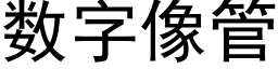 數字像管 (黑體矢量字庫)