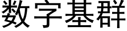 數字基群 (黑體矢量字庫)