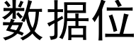 数据位 (黑体矢量字库)