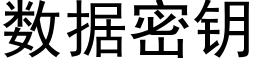 数据密钥 (黑体矢量字库)