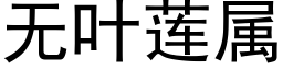 无叶莲属 (黑体矢量字库)