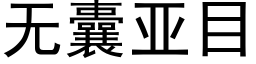 无囊亚目 (黑体矢量字库)