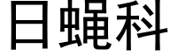 日蠅科 (黑體矢量字庫)