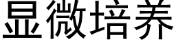 顯微培養 (黑體矢量字庫)