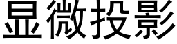 顯微投影 (黑體矢量字庫)