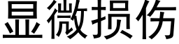 顯微損傷 (黑體矢量字庫)