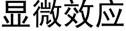 顯微效應 (黑體矢量字庫)