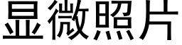 顯微照片 (黑體矢量字庫)