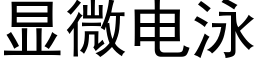 顯微電泳 (黑體矢量字庫)