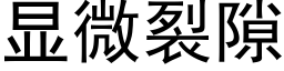 顯微裂隙 (黑體矢量字庫)