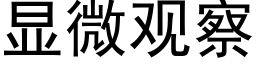 显微观察 (黑体矢量字库)