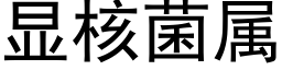 顯核菌屬 (黑體矢量字庫)