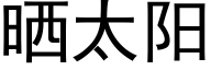 晒太阳 (黑体矢量字库)