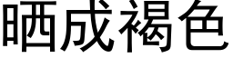 曬成褐色 (黑體矢量字庫)