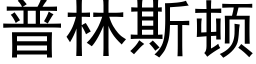 普林斯顿 (黑体矢量字库)