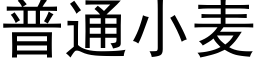 普通小麥 (黑體矢量字庫)