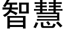 智慧 (黑體矢量字庫)