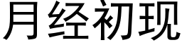 月经初现 (黑体矢量字库)