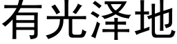 有光泽地 (黑体矢量字库)