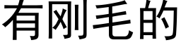 有剛毛的 (黑體矢量字庫)