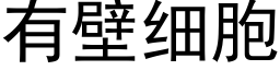 有壁细胞 (黑体矢量字库)