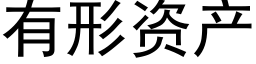 有形资产 (黑体矢量字库)