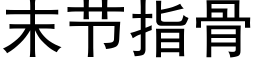 末節指骨 (黑體矢量字庫)