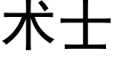 术士 (黑体矢量字库)