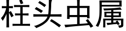 柱头虫属 (黑体矢量字库)