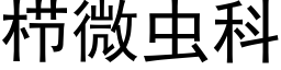 栉微蟲科 (黑體矢量字庫)