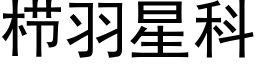 栉羽星科 (黑體矢量字庫)