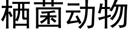 栖菌動物 (黑體矢量字庫)