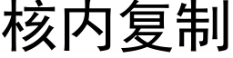 核内複制 (黑體矢量字庫)