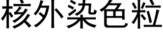 核外染色粒 (黑体矢量字库)