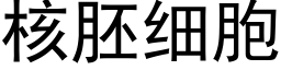 核胚細胞 (黑體矢量字庫)