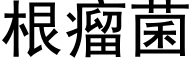 根瘤菌 (黑体矢量字库)