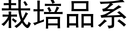 栽培品系 (黑體矢量字庫)