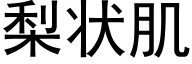 梨状肌 (黑体矢量字库)