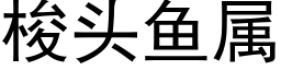 梭头鱼属 (黑体矢量字库)