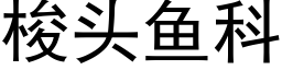 梭头鱼科 (黑体矢量字库)