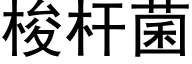 梭杆菌 (黑体矢量字库)