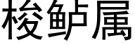 梭鲈屬 (黑體矢量字庫)