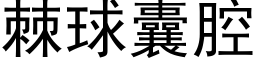 棘球囊腔 (黑体矢量字库)