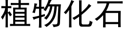 植物化石 (黑体矢量字库)