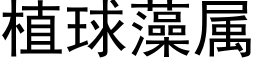 植球藻属 (黑体矢量字库)