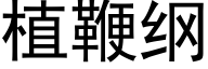 植鞭纲 (黑体矢量字库)