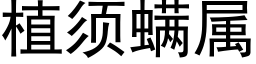 植須螨屬 (黑體矢量字庫)