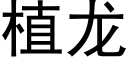 植龙 (黑体矢量字库)