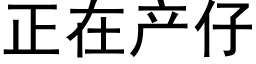 正在产仔 (黑体矢量字库)