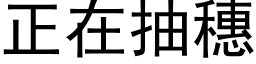 正在抽穗 (黑体矢量字库)